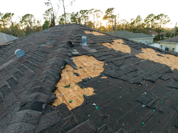 Skylights in Laguna Beach, FL